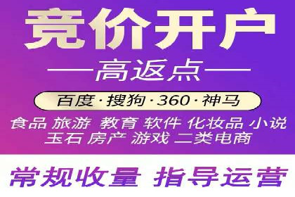 SEM广告投放的技巧与策略——成功案例分享
